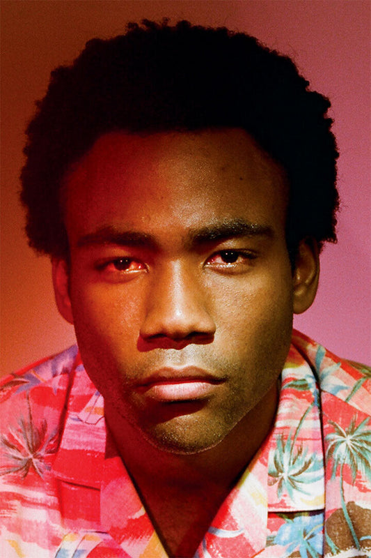 Childish Gambino Because The Internet 2020 Rap Album Singer Poster Wall Art Print Home Wall Decor