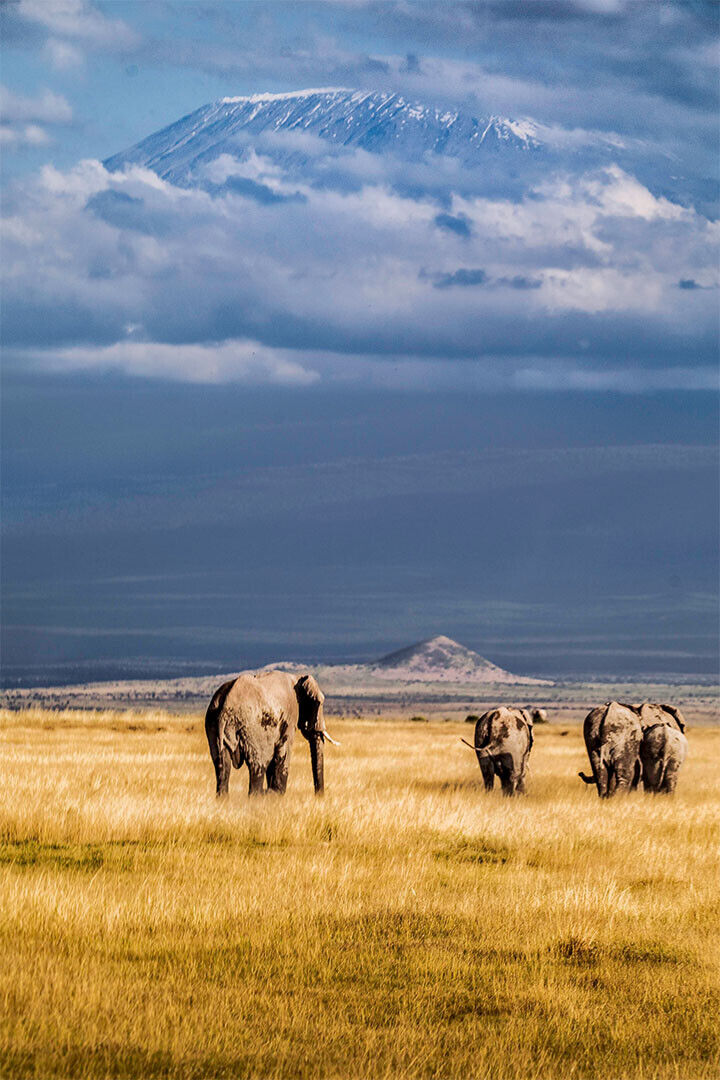 Mount Kilimanjaro From Kenya Famous Places Poster Wall Art Print Home Wall Decor - xonomax