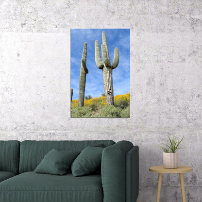 Giant Saguaro Cactus Thorny Plants Picture Poster Wall Art Print Home Wall Decor - xonomax