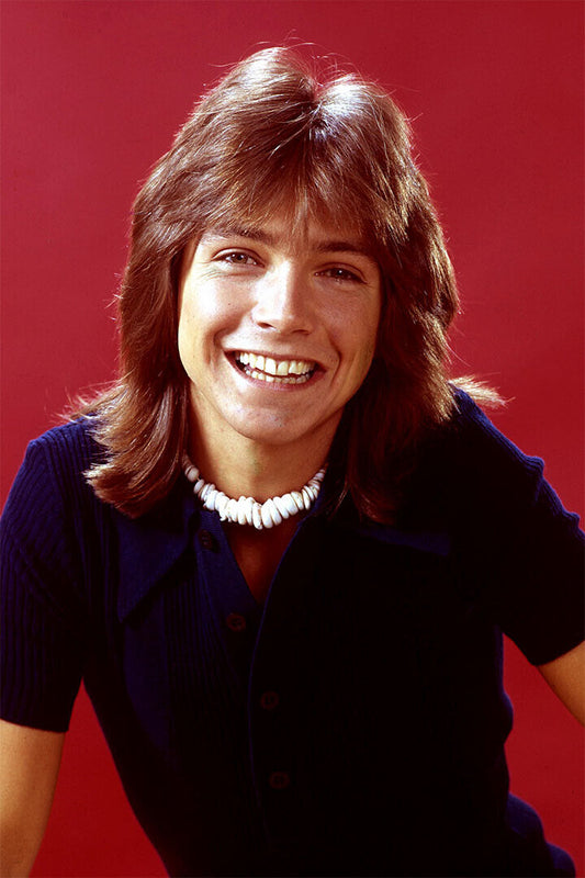 Actor David Cassidy Smiling Singer Songwriter Poster Wall Art Print Home Wall Decor