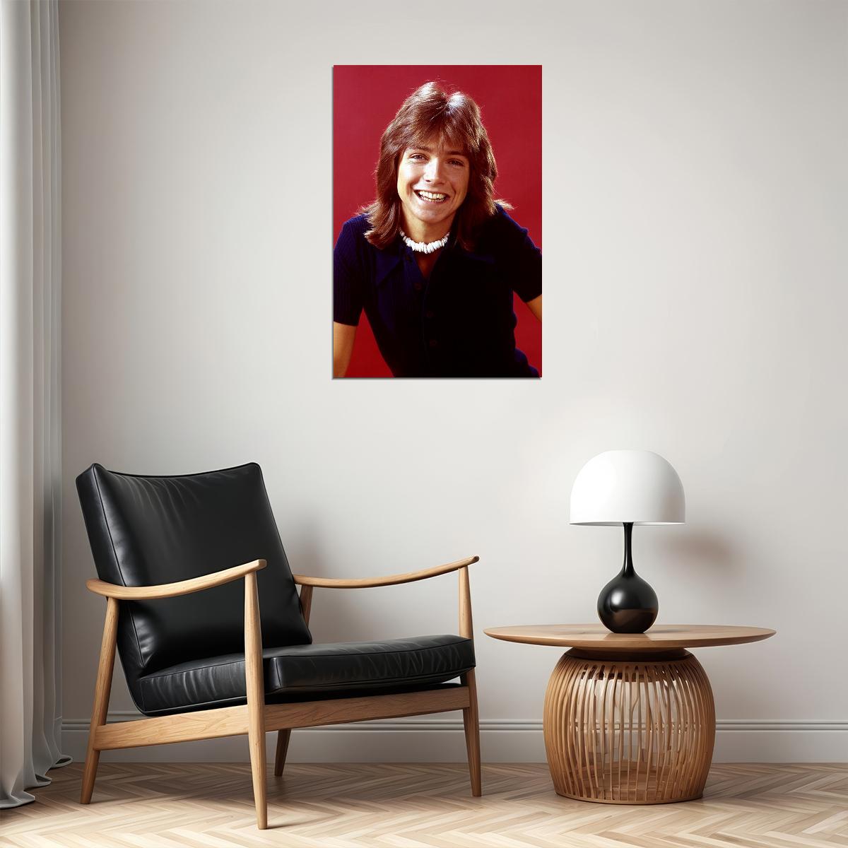 Actor David Cassidy Smiling Singer Songwriter Poster Wall Art Print Home Wall Decor