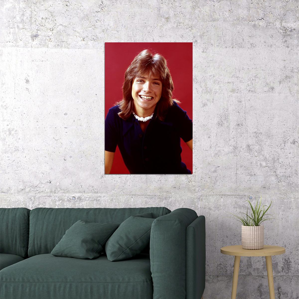 Actor David Cassidy Smiling Singer Songwriter Poster Wall Art Print Home Wall Decor