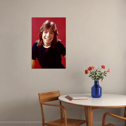 Actor David Cassidy Smiling Singer Songwriter Poster Wall Art Print Home Wall Decor