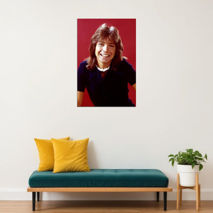 Actor David Cassidy Smiling Singer Songwriter Poster Wall Art Print Home Wall Decor