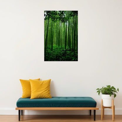 Bamboo Forest In China Tropical Trees Poster Wall Art Print Home Wall Decor - xonomax