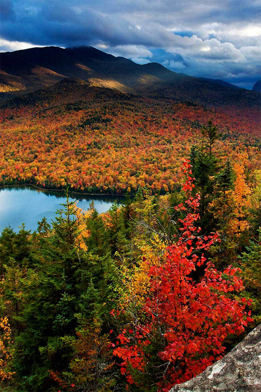Heart Lake In The Adirondack Mountains Poster Wall Art Print Home Wall Decor - xonomax