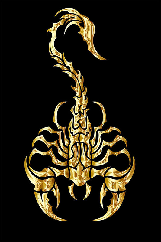 Scorpion And Skull Animal Back Poster Wall Art Print Home Wall Decor