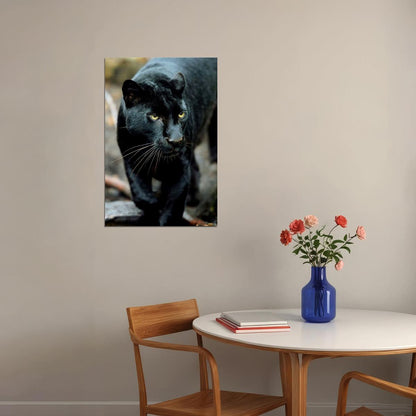 Mean Black Panther Animals Poster Wall Art Print Home Wall Decor - xonomax