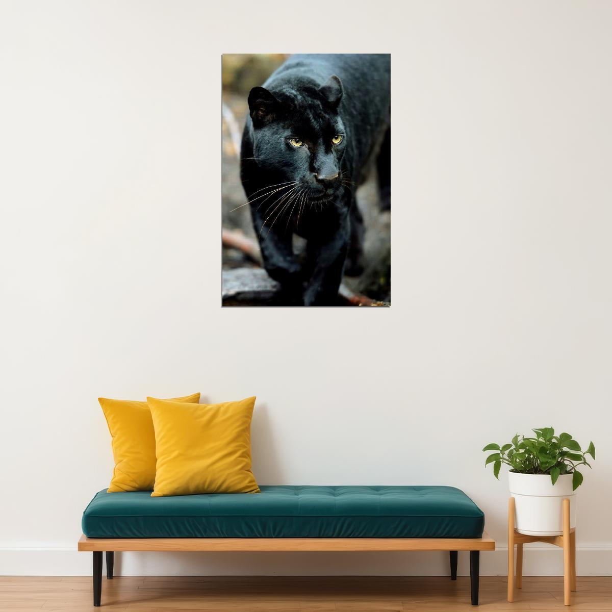Mean Black Panther Animals Poster Wall Art Print Home Wall Decor - xonomax