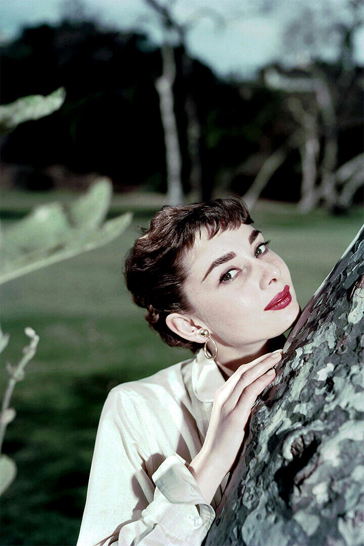 Hepburn Audrey Actress Charitable Poster Wall Art Print Home Wall Decor