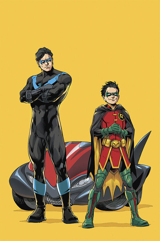 Nightwing And Robin Rebirth Poster Wall Art Print Home Wall Decor - xonomax