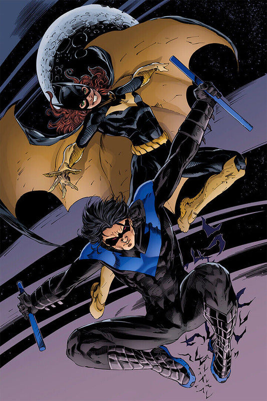 Batgirl And Nightwing Grappling Hook Poster Wall Art Print Home Wall Decor - xonomax