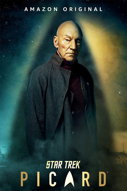 Star Trek Picard Fantasy Movie Poster Wall Art Print Home Wall Decor - xonomax