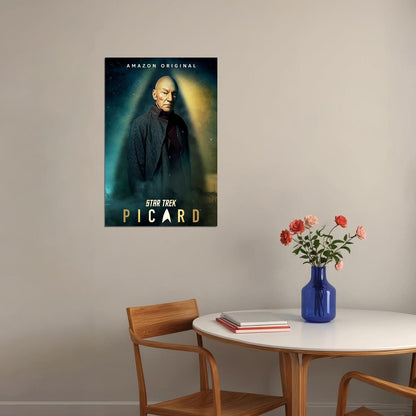 Star Trek Picard Fantasy Movie Poster Wall Art Print Home Wall Decor - xonomax