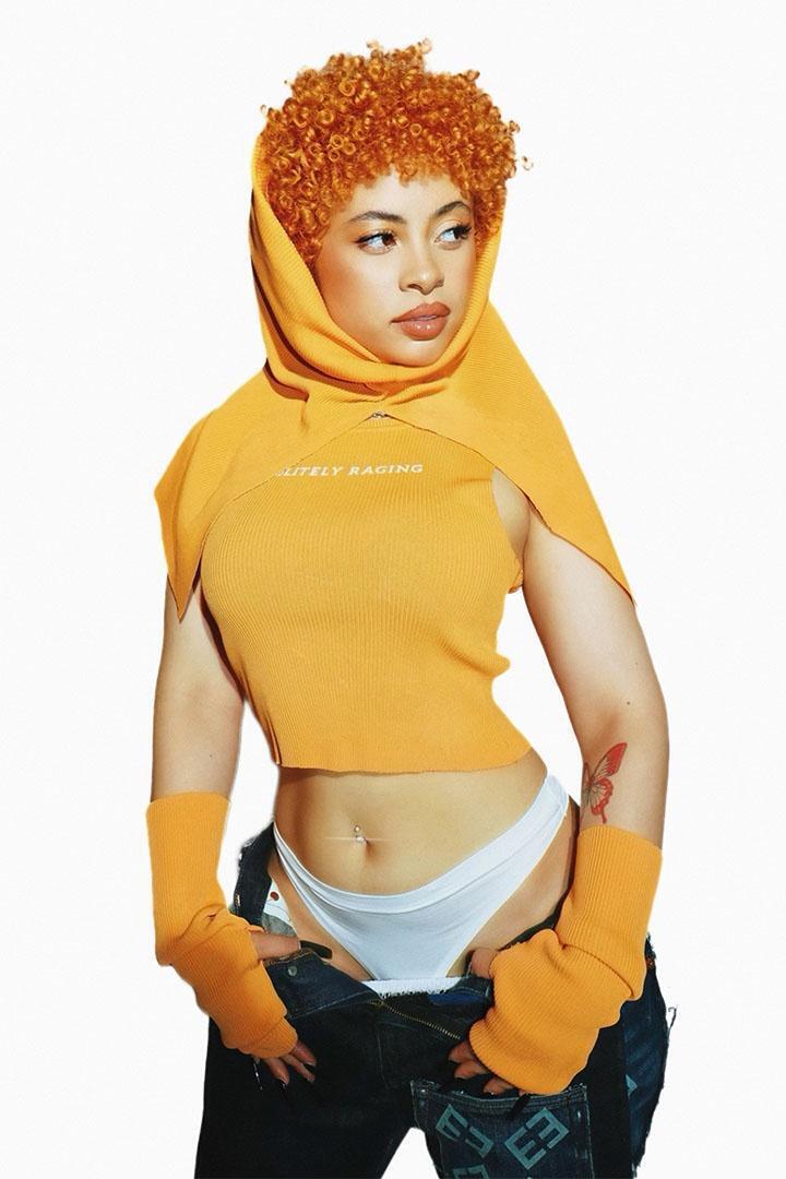 Ice Spice Celebrity American Singer Rap Music Poster Wall Art Print Home Wall Decor