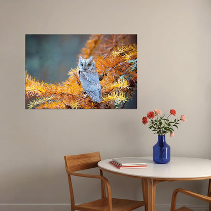 Owl Standing On Branch Autumn Birds Animals Poster Wall Art Print Home Wall Decor - xonomax