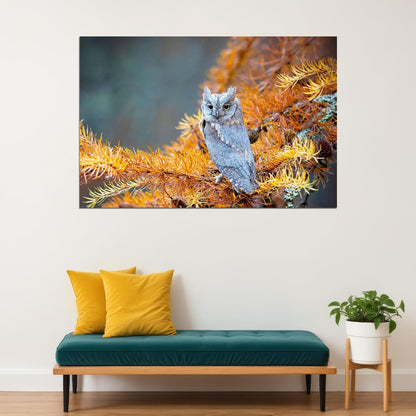 Owl Standing On Branch Autumn Birds Animals Poster Wall Art Print Home Wall Decor - xonomax