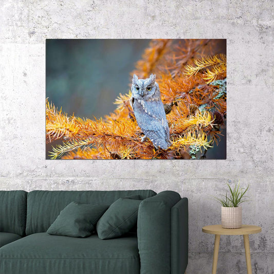 Owl Standing On Branch Autumn Birds Animals Poster Wall Art Print Home Wall Decor - xonomax