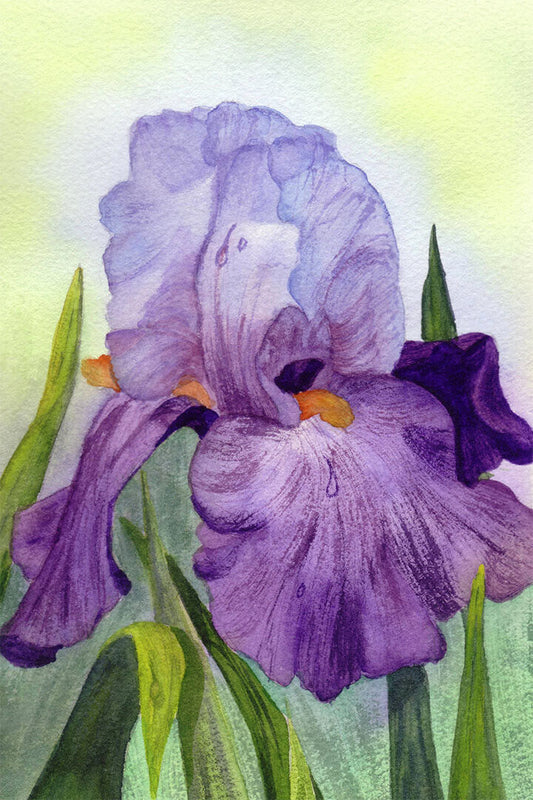 Purple Colorful Plants Iris Flower Oil Paint Poster Wall Art Print Home Wall Decor - xonomax