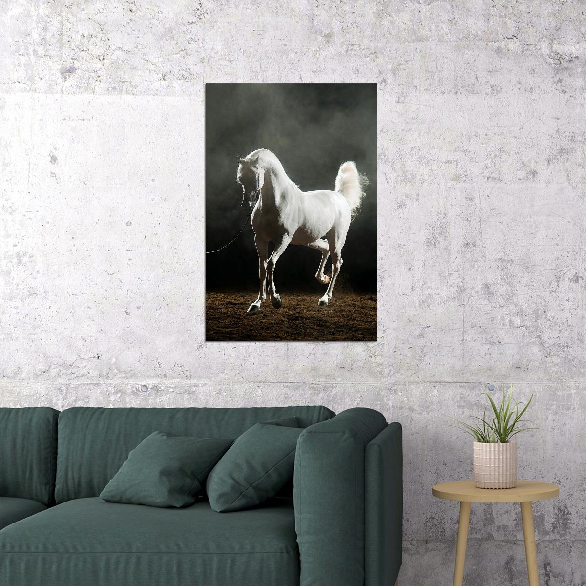 Horse White Arabian Stallion Equestrian Poster Wall Art Print Home Wall Decor - xonomax