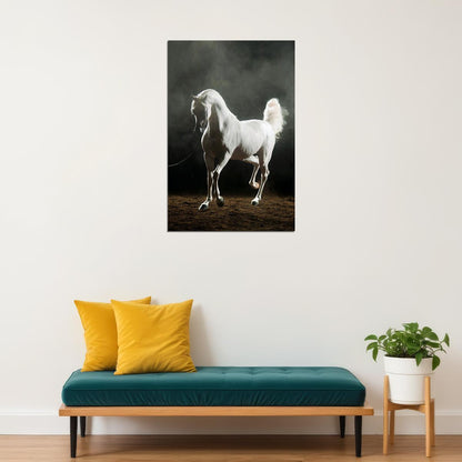 Horse White Arabian Stallion Equestrian Poster Wall Art Print Home Wall Decor - xonomax