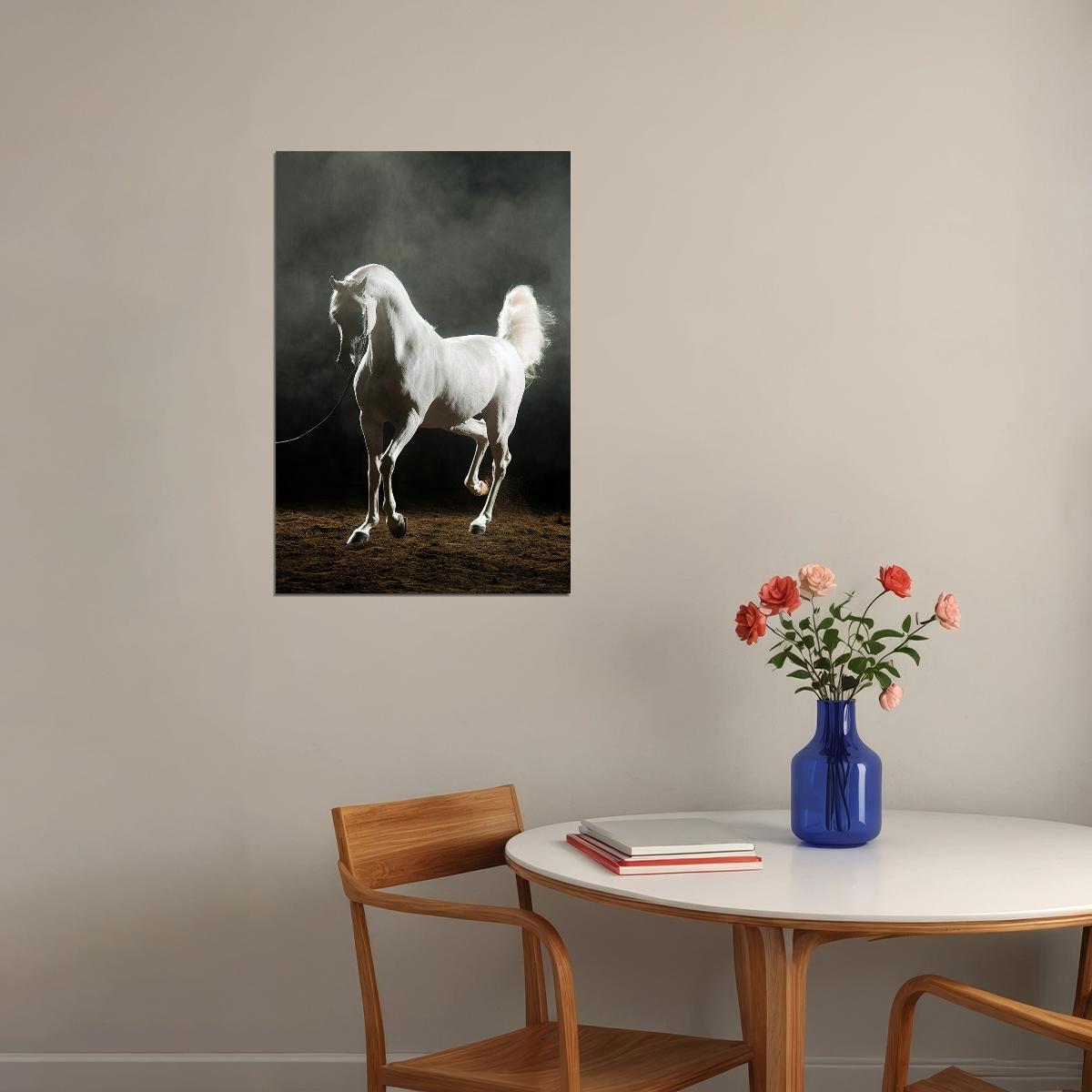 Horse White Arabian Stallion Equestrian Poster Wall Art Print Home Wall Decor - xonomax