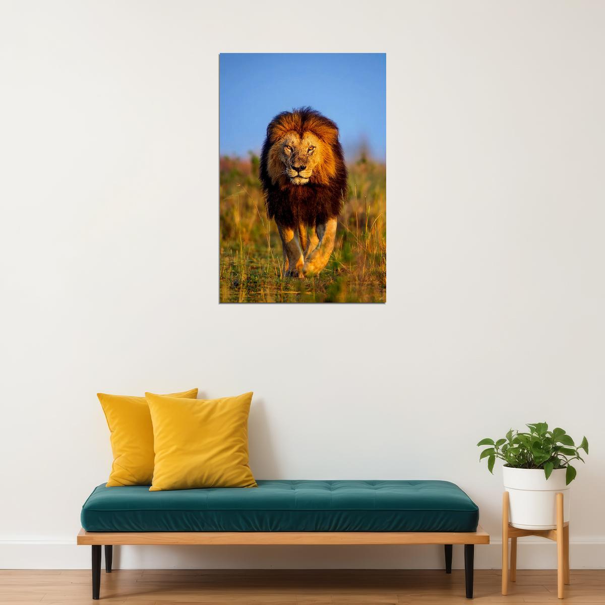 Lion's Walk Dangerous Nature Untamed Cat Poster Wall Art Print Home Wall Decor - xonomax