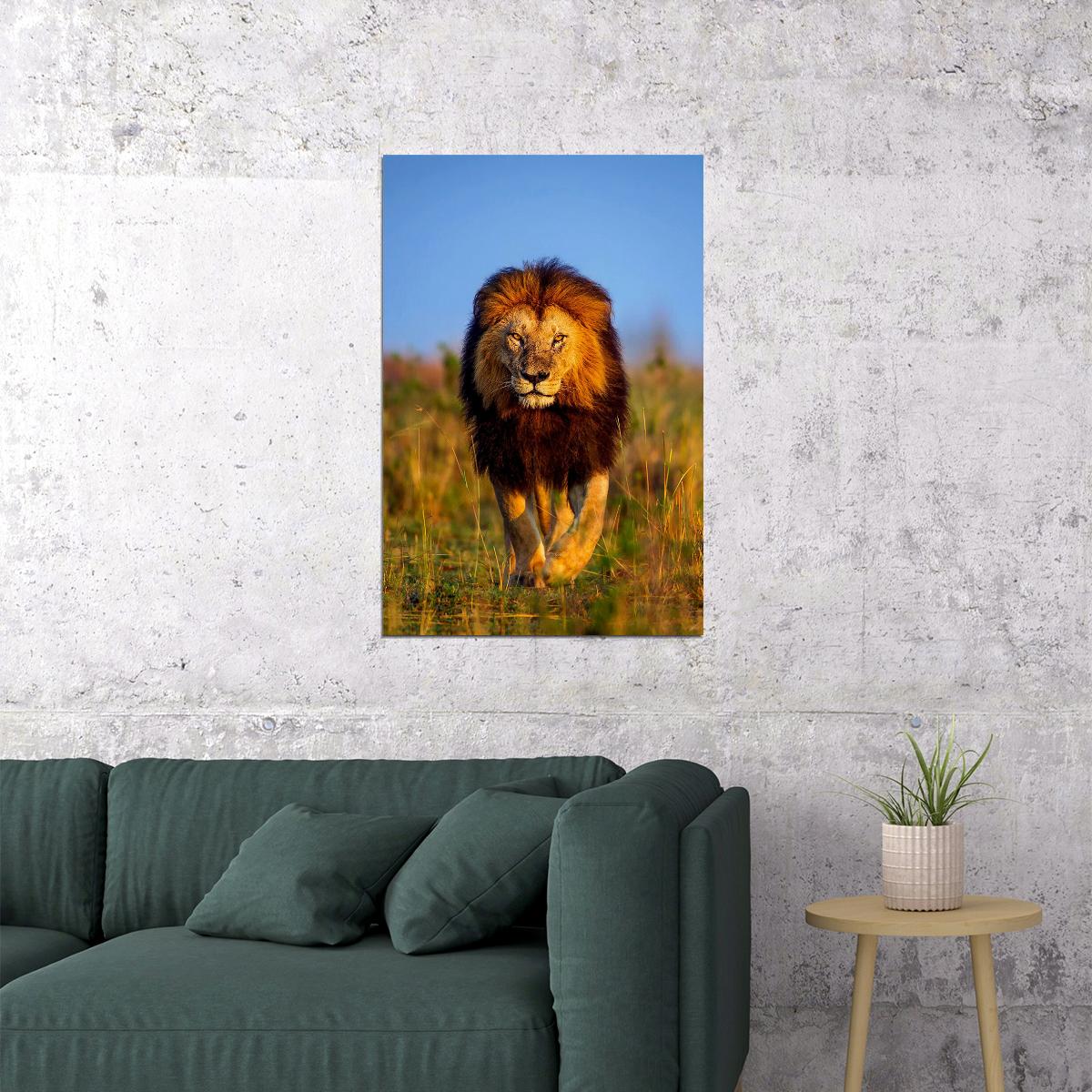 Lion's Walk Dangerous Nature Untamed Cat Poster Wall Art Print Home Wall Decor - xonomax