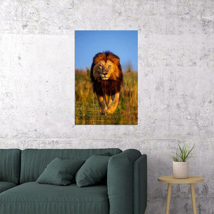 Lion's Walk Dangerous Nature Untamed Cat Poster Wall Art Print Home Wall Decor - xonomax