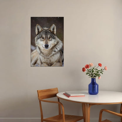 Wolf Wild Life Sitting Animal Nature Picture Poster Wall Art Print Home Wall Decor - xonomax