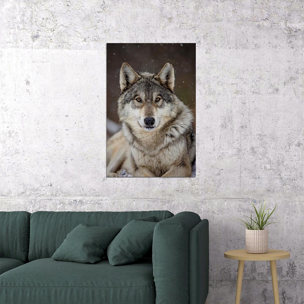 Wolf Wild Life Sitting Animal Nature Picture Poster Wall Art Print Home Wall Decor - xonomax