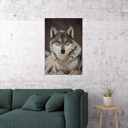 Wolf Wild Life Sitting Animal Nature Picture Poster Wall Art Print Home Wall Decor - xonomax