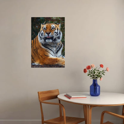 Tiger Sitting In The Forest Poster Wall Art Print Home Wall Decor - xonomax