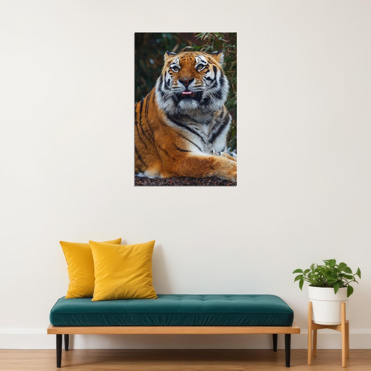 Tiger Sitting In The Forest Poster Wall Art Print Home Wall Decor - xonomax