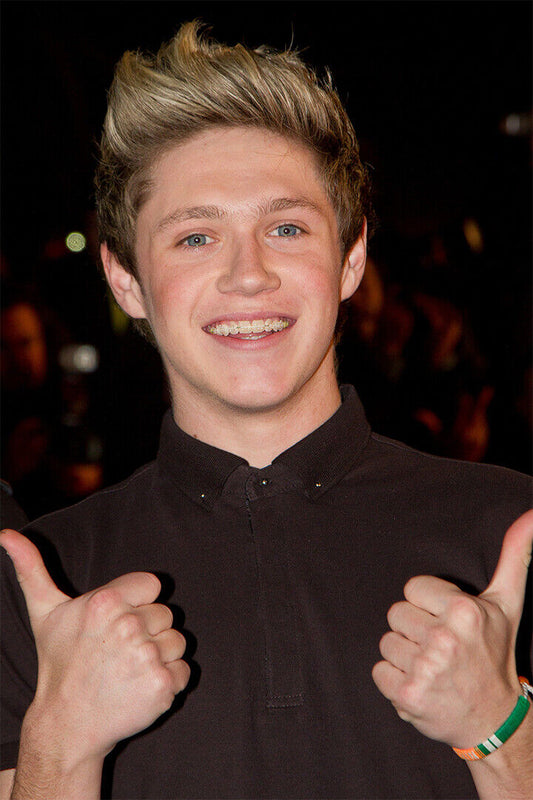 Niall Horan Celebrity Pop Musician Album Poster Wall Art Print Home Wall Decor - xonomax