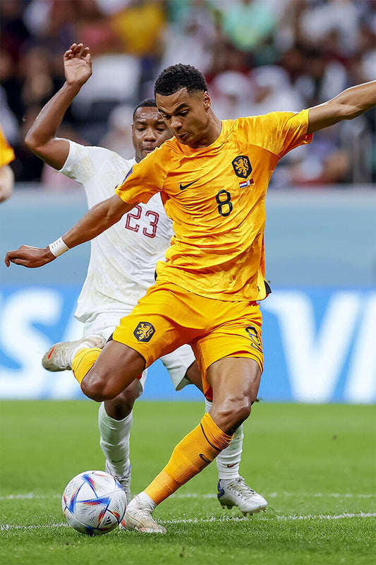 Cody Gakpo Netherlands National Team World Cup Poster Wall Art Print Home Wall Decor - xonomax