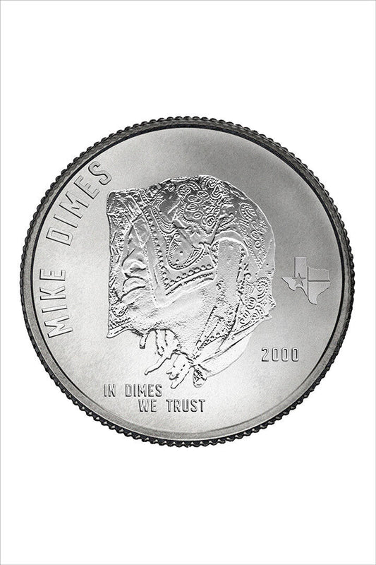 Mike Dimes In Dimes We Trust Music Album Poster Wall Art Print Home Wall Decor - xonomax