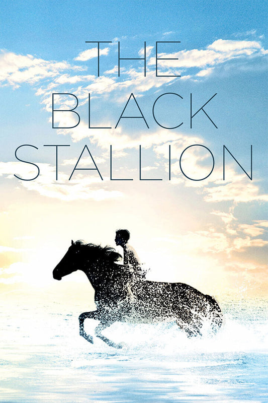 Black Stallion 1979 Movie Adventure Family Sport Poster Wall Art Print Home Wall Decor - xonomax