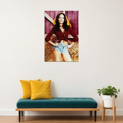 The Dukes Of Hazzard Daisy Duke Pin Up Photo Comedy Poster Wall Art Print Home Wall Decor - xonomax