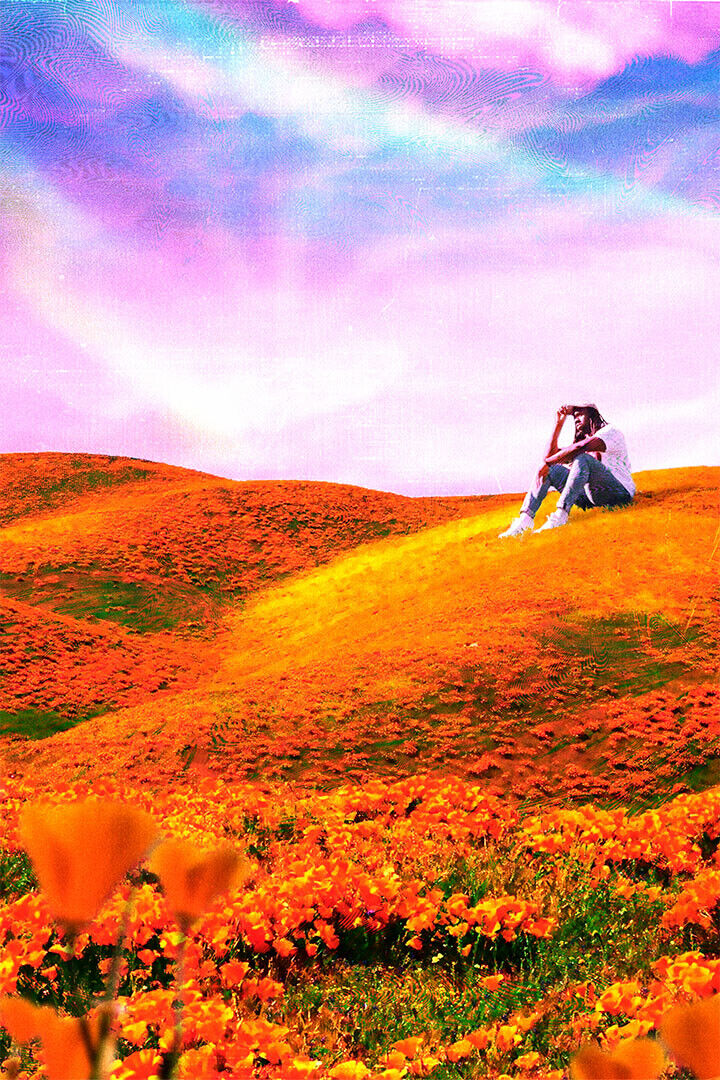 Rexx Life Raj California Poppy 2 Music Mixtape Poster Wall Art Print Home Wall Decor - xonomax