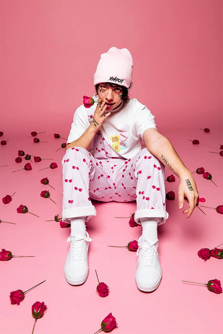Lil Xan Rapper Hip Hop Music Singer Star Poster Wall Art Print Home Wall Decor - xonomax