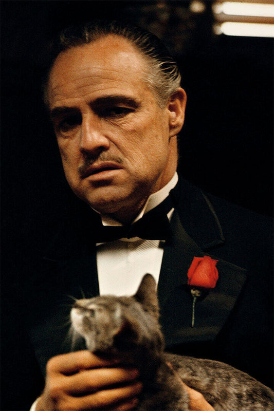 The Godfather Marlon Brando Al Pacino Classic Movie Poster Wall Art Print Home Wall Decor - xonomax