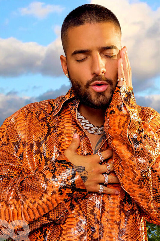 Maluma Music Singer Star Fashion Musician Poster Wall Art Print Home Wall Decor - xonomax