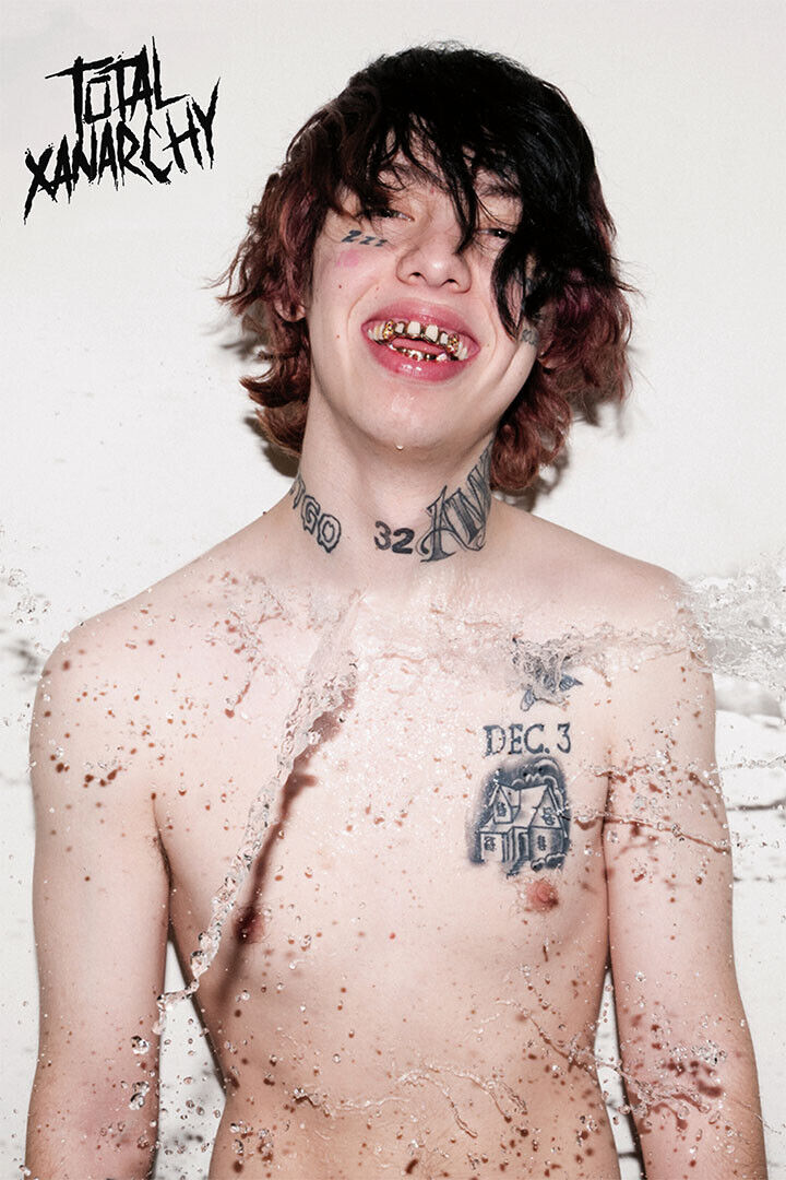 Lil Xan Total Xanarchy 2020 Rap Album Singer Poster Wall Art Print Home Wall Decor - xonomax