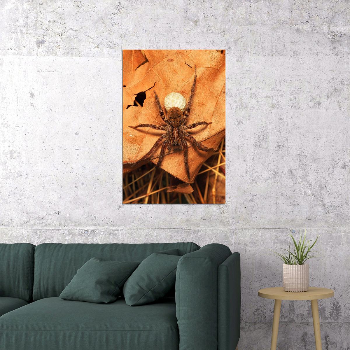 Wolf Spider On The Plant Arthropod Animals Poster Wall Art Print Home Wall Decor - xonomax