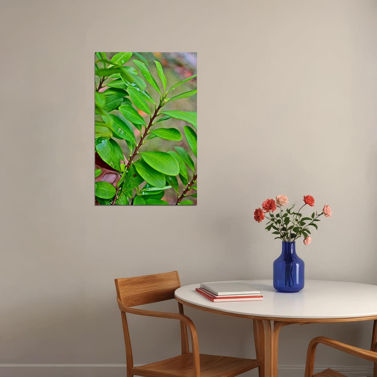Leaves And Berries Of Coca Plant Botanical Poster Wall Art Print Home Wall Decor - xonomax