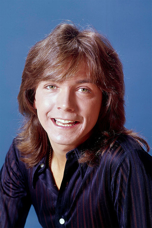 Actor David Cassidy Smiling Songwriter Singer Poster Wall Art Print Home Wall Decor - xonomax