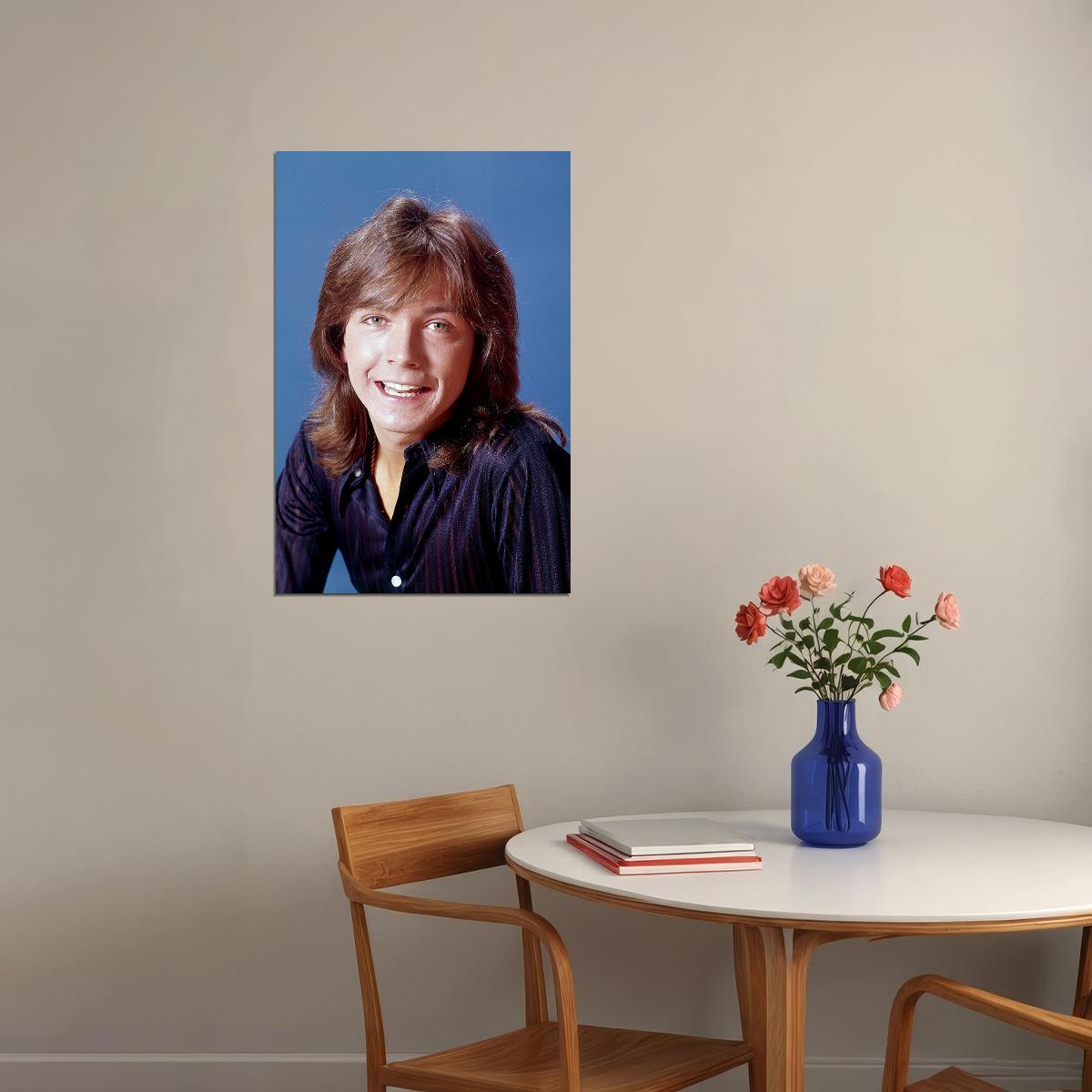 Actor David Cassidy Smiling Songwriter Singer Poster Wall Art Print Home Wall Decor - xonomax