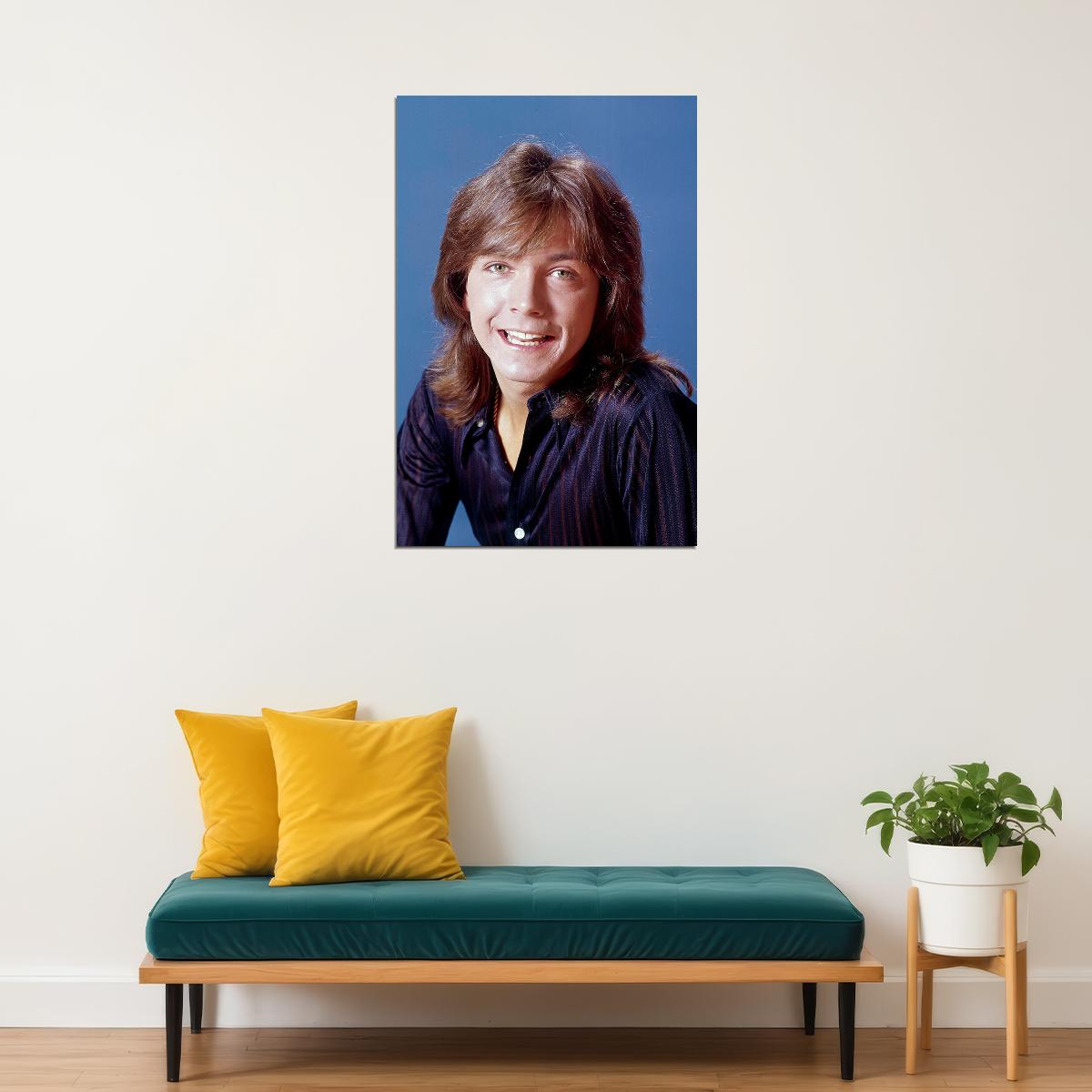 Actor David Cassidy Smiling Songwriter Singer Poster Wall Art Print Home Wall Decor - xonomax
