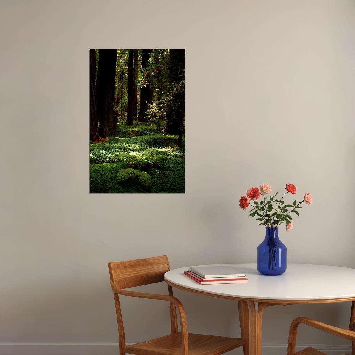 Lush Forest Floor And Tall Trees Nature Poster Wall Art Print Home Wall Decor - xonomax